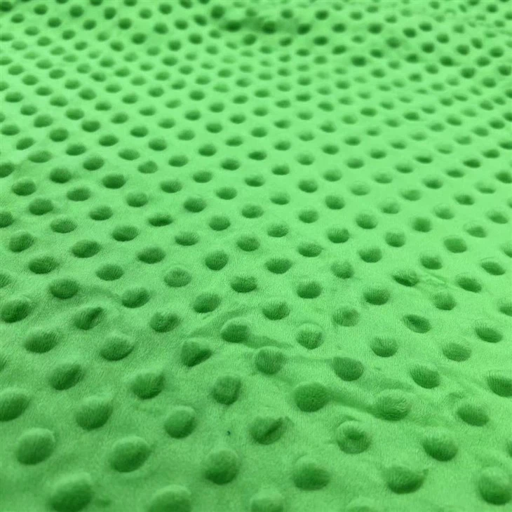 Colorful Minky Dot Fabric